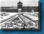 Llegada al campo de concentracin y exterminio en Auschwitz