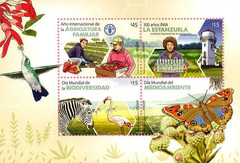 International Year of Family Farming|Año Internacional de la Agricultura Familiar